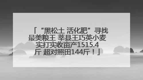 “黑松土 活化肥”寻找最美粮王 莘县王巧英小麦实打实收亩产1515.4斤 超对照田144斤！