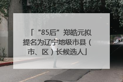 “85后”郑皓元拟提名为辽宁地级市县（市、区）长候选人