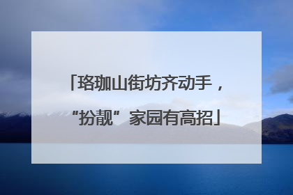 珞珈山街坊齐动手，“扮靓”家园有高招