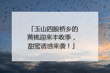 玉山四股桥乡的黄桃迎来丰收季，甜蜜诱惑来袭！