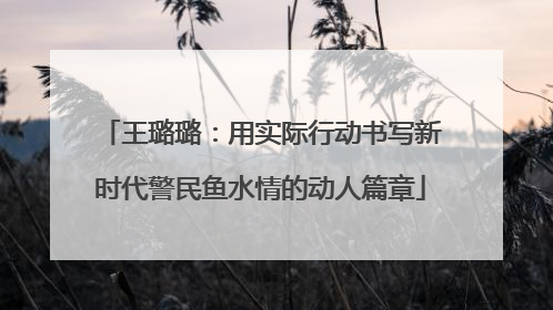 王璐璐：用实际行动书写新时代警民鱼水情的动人篇章