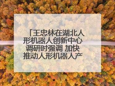 王忠林在湖北人形机器人创新中心调研时强调 加快推动人形机器人产业高质量发展 打造具有全国影响力的研发创新基地