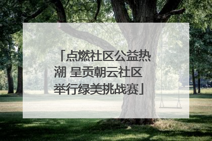 点燃社区公益热潮 呈贡朝云社区举行绿美挑战赛