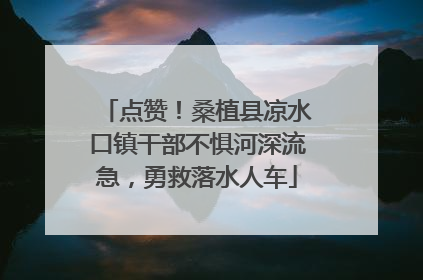 点赞！桑植县凉水口镇干部不惧河深流急，勇救落水人车