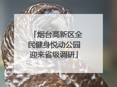 烟台高新区全民健身悦动公园迎来省级调研