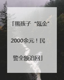 熊孩子“氪金”2000余元！民警全额追回