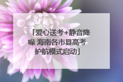 爱心送考+静音降噪 海南各市县高考护航模式启动