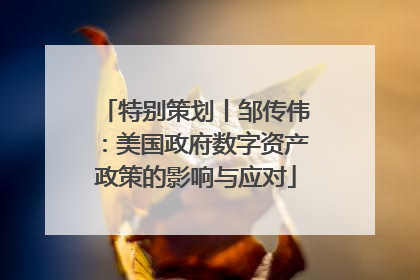 特别策划丨邹传伟：美国政府数字资产政策的影响与应对