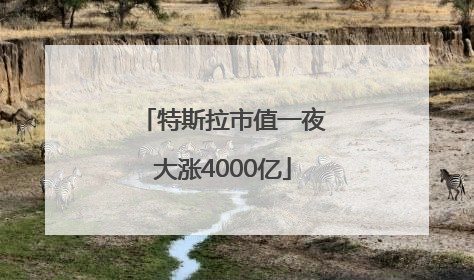 特斯拉市值一夜大涨4000亿