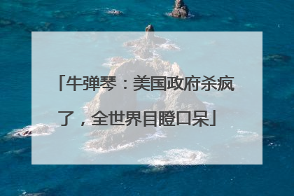牛弹琴：美国政府杀疯了，全世界目瞪口呆