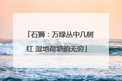 石狮：万绿丛中几树红 湿地荷塘韵无穷