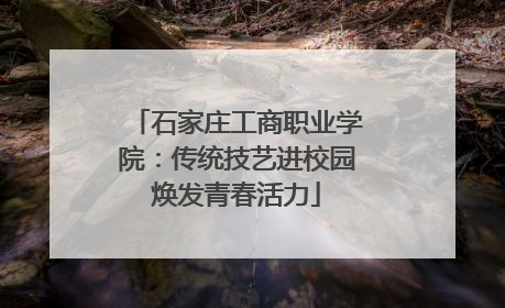 石家庄工商职业学院：传统技艺进校园焕发青春活力