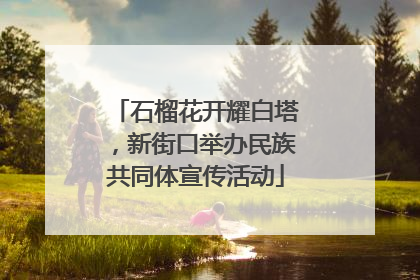 石榴花开耀白塔，新街口举办民族共同体宣传活动