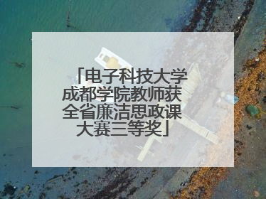 电子科技大学成都学院教师获全省廉洁思政课大赛三等奖