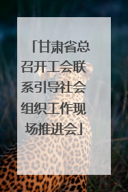甘肃省总召开工会联系引导社会组织工作现场推进会