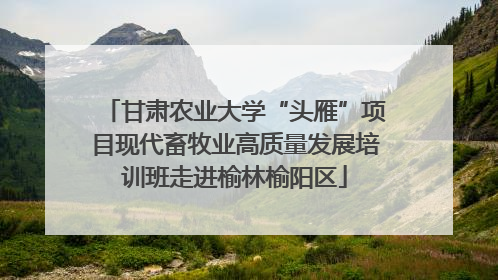 甘肃农业大学“头雁”项目现代畜牧业高质量发展培训班走进榆林榆阳区