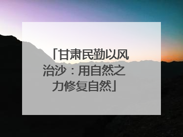 甘肃民勤以风治沙：用自然之力修复自然