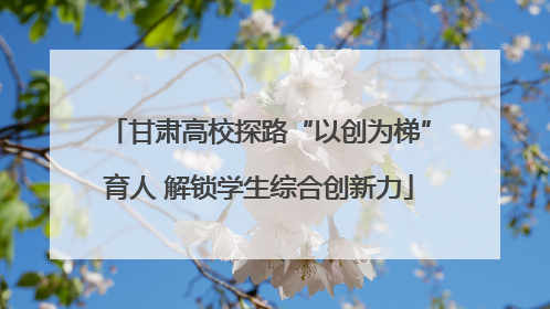 甘肃高校探路“以创为梯”育人 解锁学生综合创新力