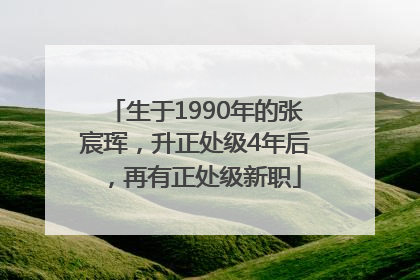 生于1990年的张宸珲，升正处级4年后，再有正处级新职