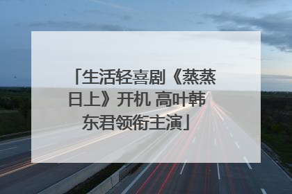 生活轻喜剧《蒸蒸日上》开机 高叶韩东君领衔主演