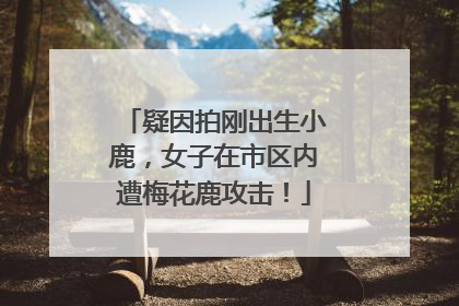 疑因拍刚出生小鹿，女子在市区内遭梅花鹿攻击！