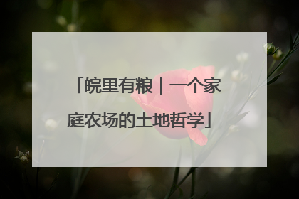 皖里有粮｜一个家庭农场的土地哲学