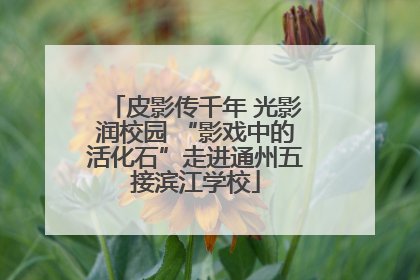 皮影传千年 光影润校园 “影戏中的活化石”走进通州五接滨江学校
