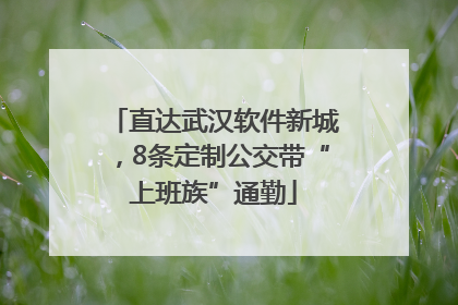 直达武汉软件新城，8条定制公交带“上班族”通勤