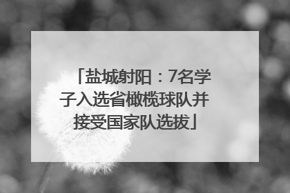 盐城射阳：7名学子入选省橄榄球队并接受国家队选拔
