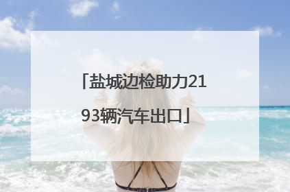 盐城边检助力2193辆汽车出口