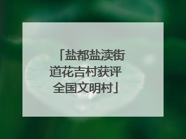 盐都盐渎街道花吉村获评全国文明村