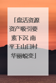 盘活资源资产吸引要素下沉 南平王山口村华丽蜕变