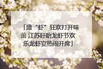 盛“虾”狂欢打开味蕾 江苏盱眙龙虾节欢乐龙虾宴热闹开席