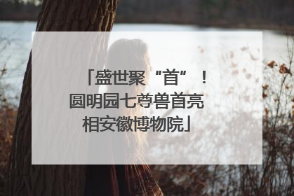 盛世聚“首”！圆明园七尊兽首亮相安徽博物院