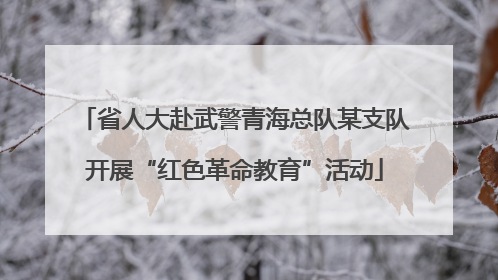 省人大赴武警青海总队某支队开展“红色革命教育”活动
