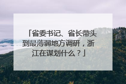 省委书记、省长带头到最薄弱地方调研，浙江在谋划什么？