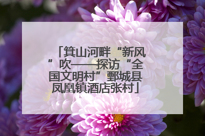 箕山河畔“新风”吹——探访“全国文明村”鄄城县凤凰镇酒店张村
