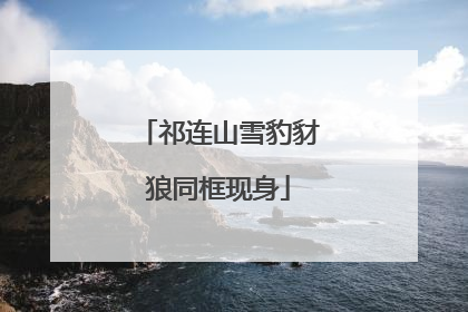 祁连山雪豹豺狼同框现身