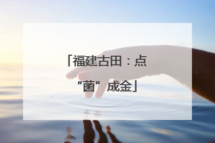 福建古田：点“菌”成金