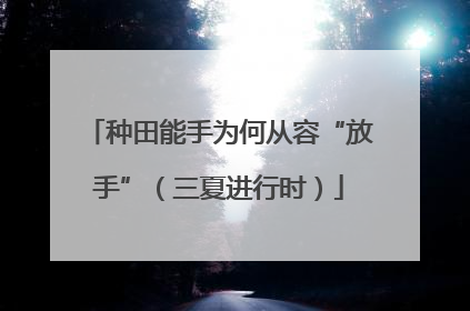 种田能手为何从容“放手”（三夏进行时）