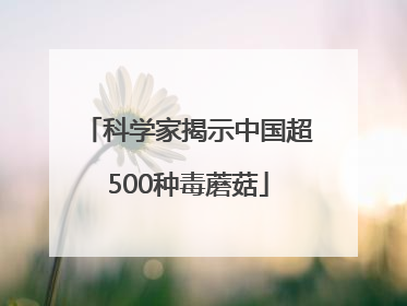 科学家揭示中国超500种毒蘑菇