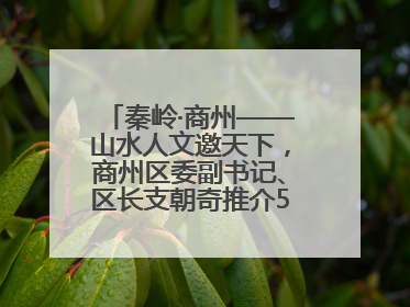 秦岭·商州——山水人文邀天下，商州区委副书记、区长支朝奇推介5个重点招商项目