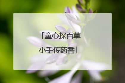 童心探百草 小手传药香