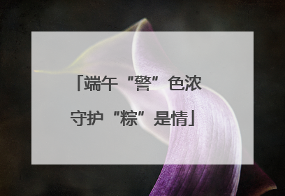 端午“警”色浓 守护“粽”是情