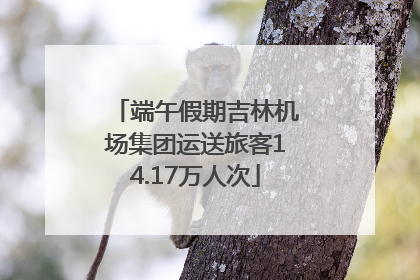 端午假期吉林机场集团运送旅客14.17万人次