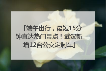 端午出行，最短15分钟直达热门景点！武汉新增12台公交定制车
