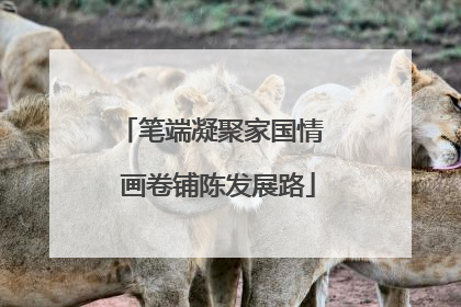 笔端凝聚家国情  画卷铺陈发展路
