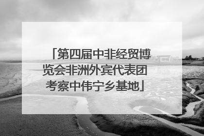 第四届中非经贸博览会非洲外宾代表团考察中伟宁乡基地