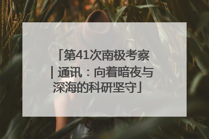 第41次南极考察｜通讯：向着暗夜与深海的科研坚守