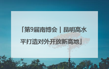 第9届南博会｜昆明高水平打造对外开放新高地